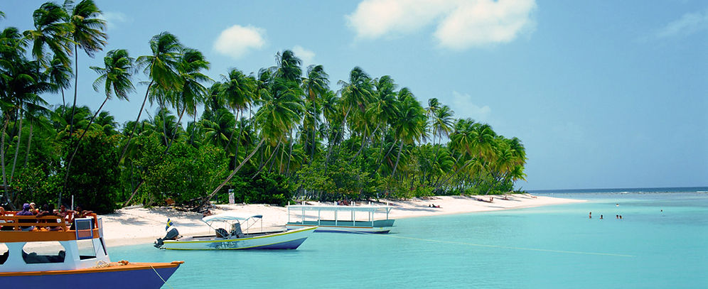 Tropical Beach