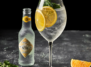 ORANGE COCKTAIL WITH TONIC WATER