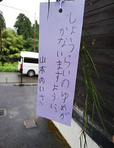IMG_20200706_161714.jpg