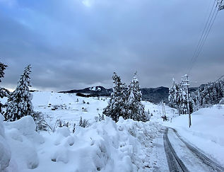 IMG_0850.jpg