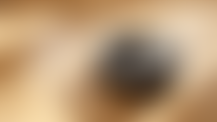 Have not yet purchased a floor sweeper? As long as these few conditions are met, you can buy with co