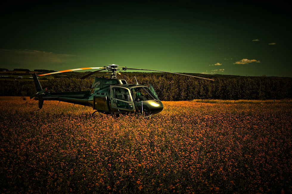 6 2021 07 23 HDR VEHI chip lk area heli xdm astar T10 _batch.jpg