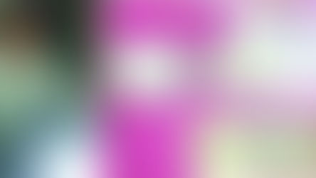 17-Year-Old Boy from Odisha Devised Technique To Produce Electricity From Scrapped Rs 500 Notes