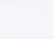 scheidegger-04_edited.png