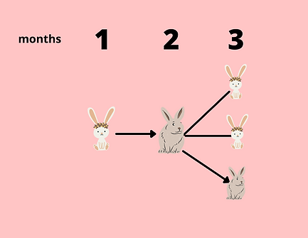 Untitled design (10).png