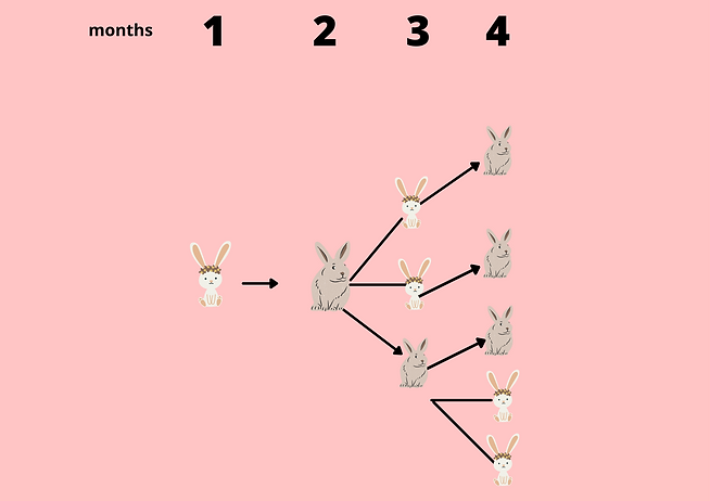 Untitled design (11).png
