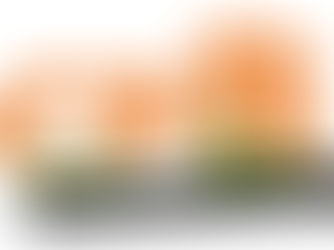 CPB VIJFTIG JAAR KRACHTIG AANWEZIG IN DE GEMEENTEPOLITIEK