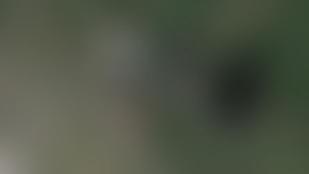 Van stapvoets naar galop!