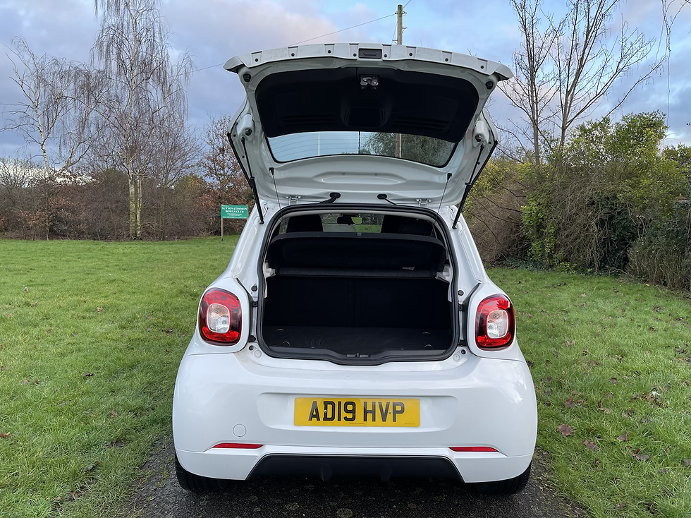 Thumbnail: 2019 SMART FORFOUR