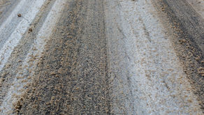 Which Insurance Do You Recommend For My Rental?