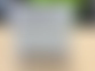 パイロットフィシュ