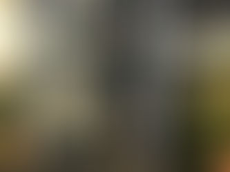 めだかの仲間たち