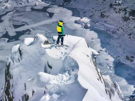 パーパスについて