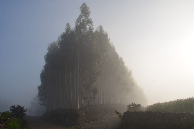 DSC_0260.JPG