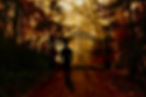 IMG_1675.jpeg
