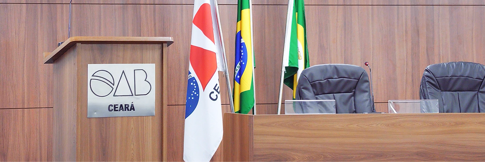 Captura de tela 2024-03-19 195032_edited.png