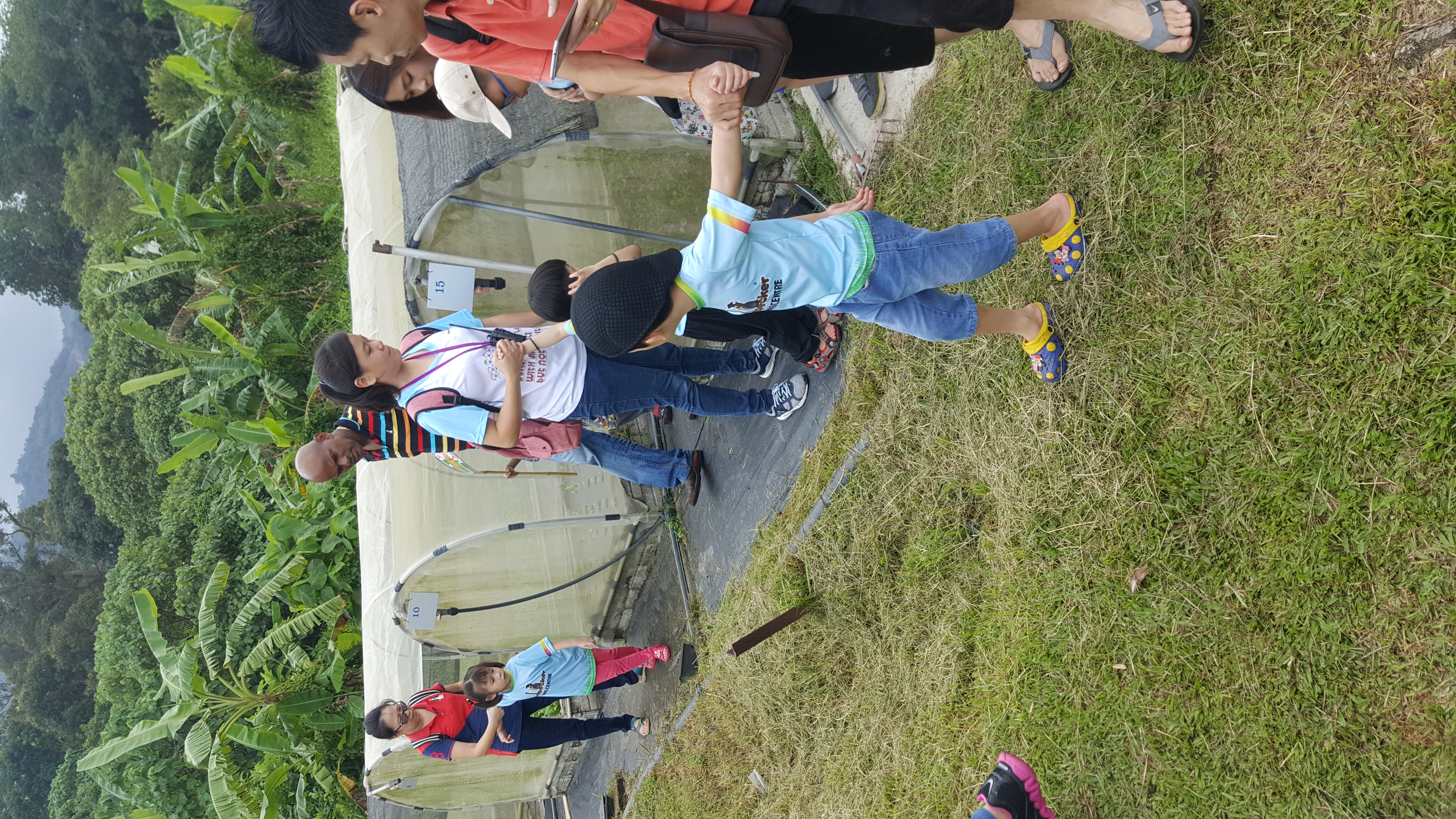 Comfort Organic Farm (13)
