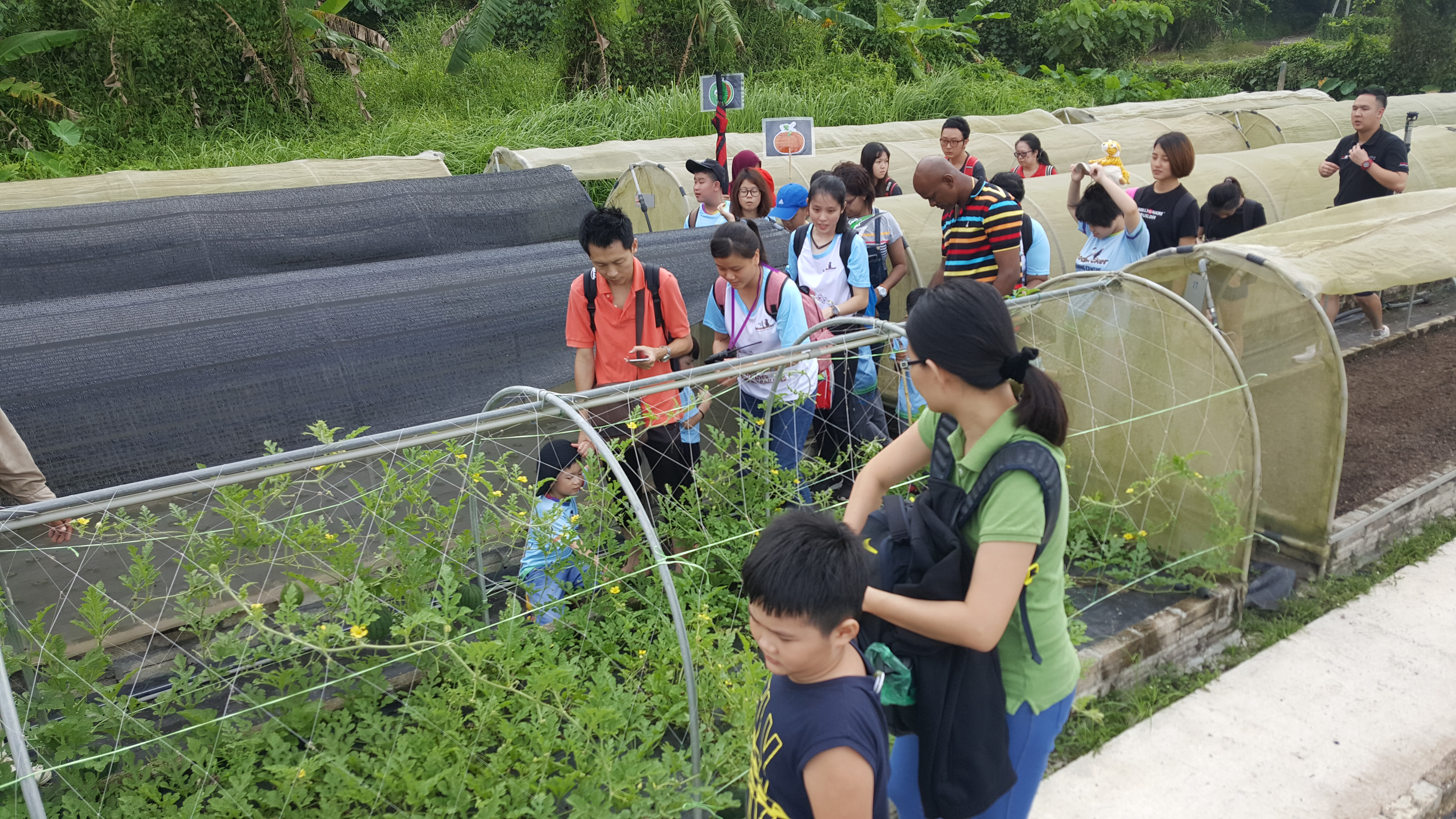 Comfort Organic Farm (9)