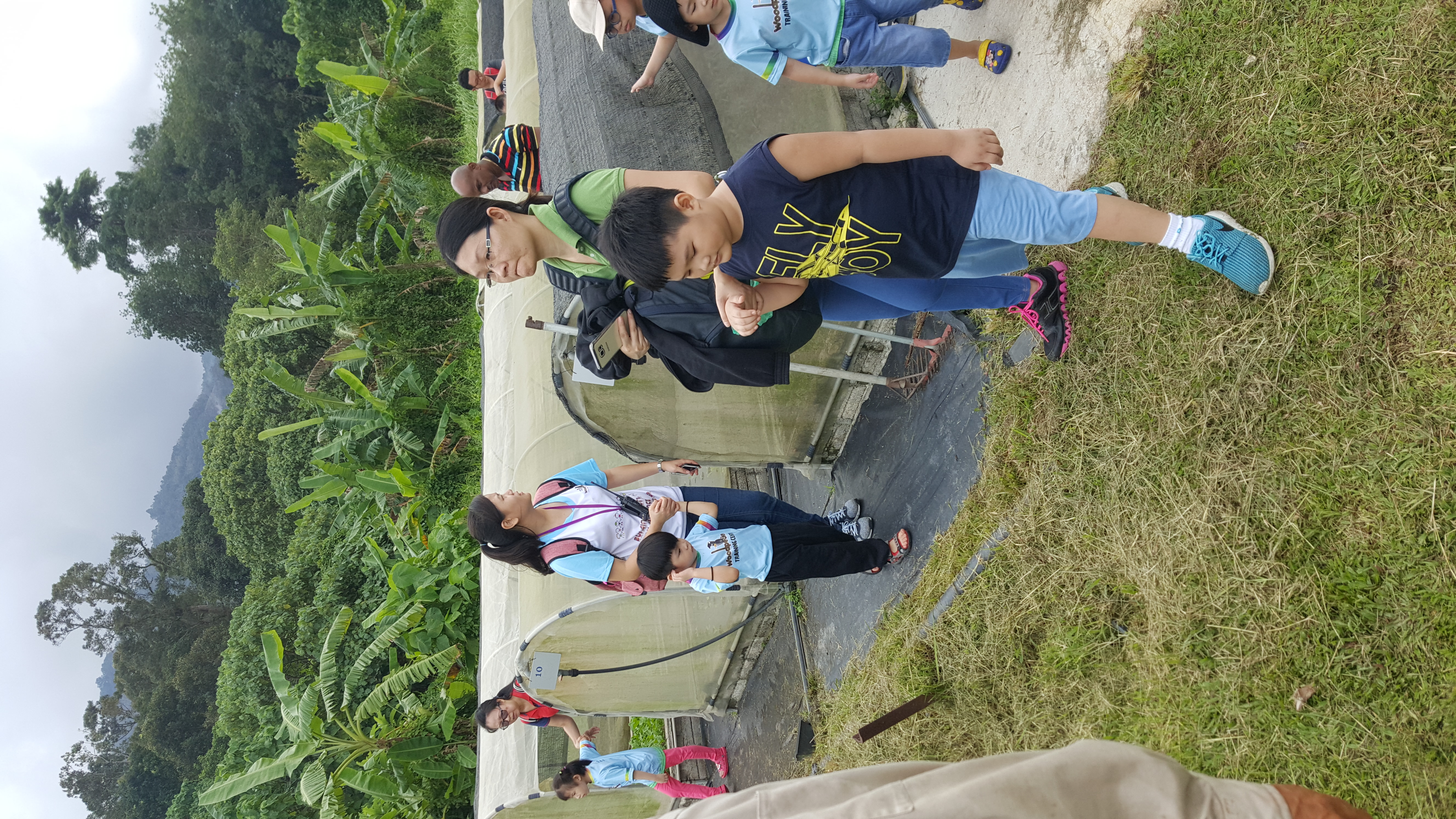 Comfort Organic Farm (12)