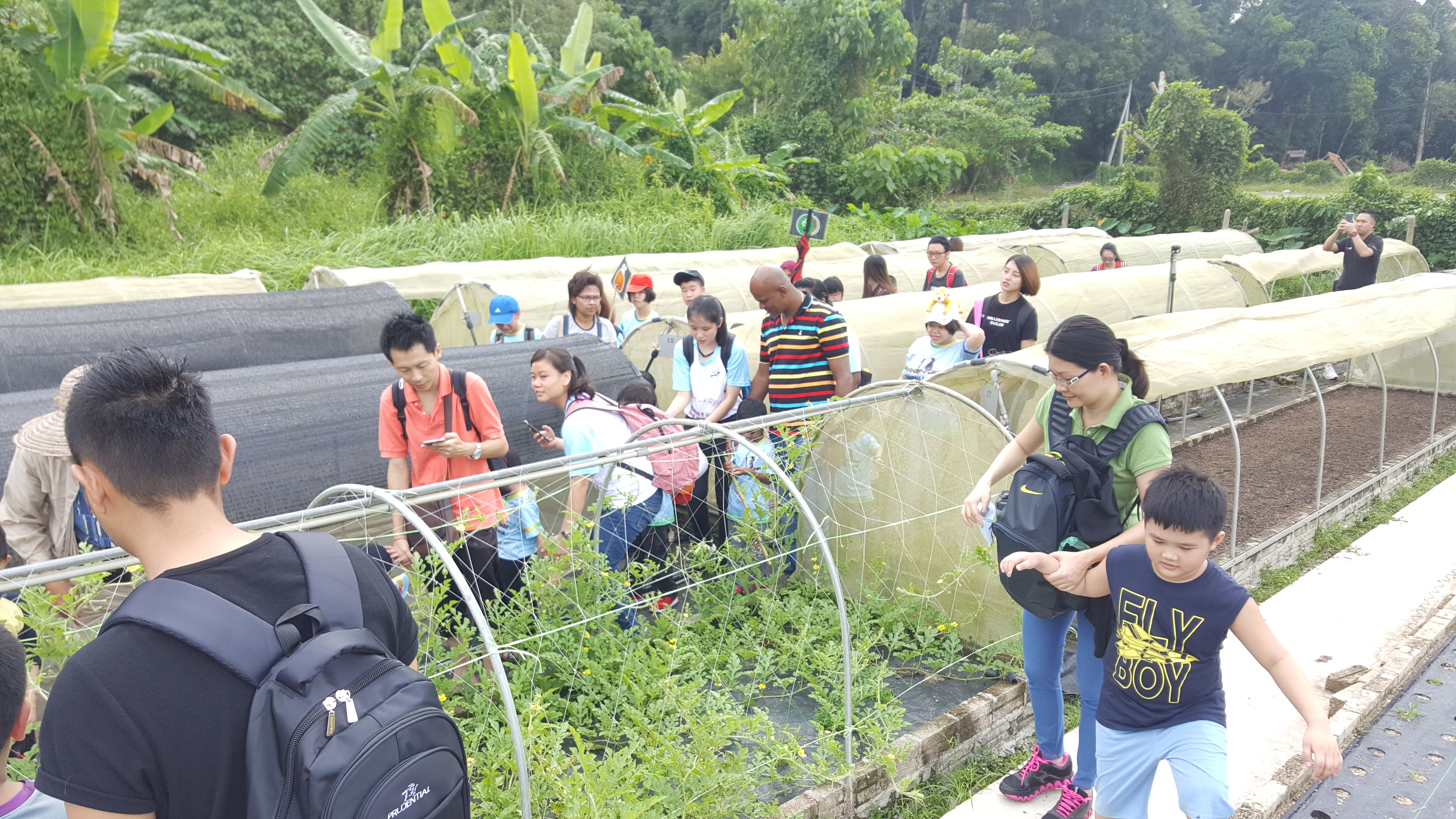 Comfort Organic Farm (8)