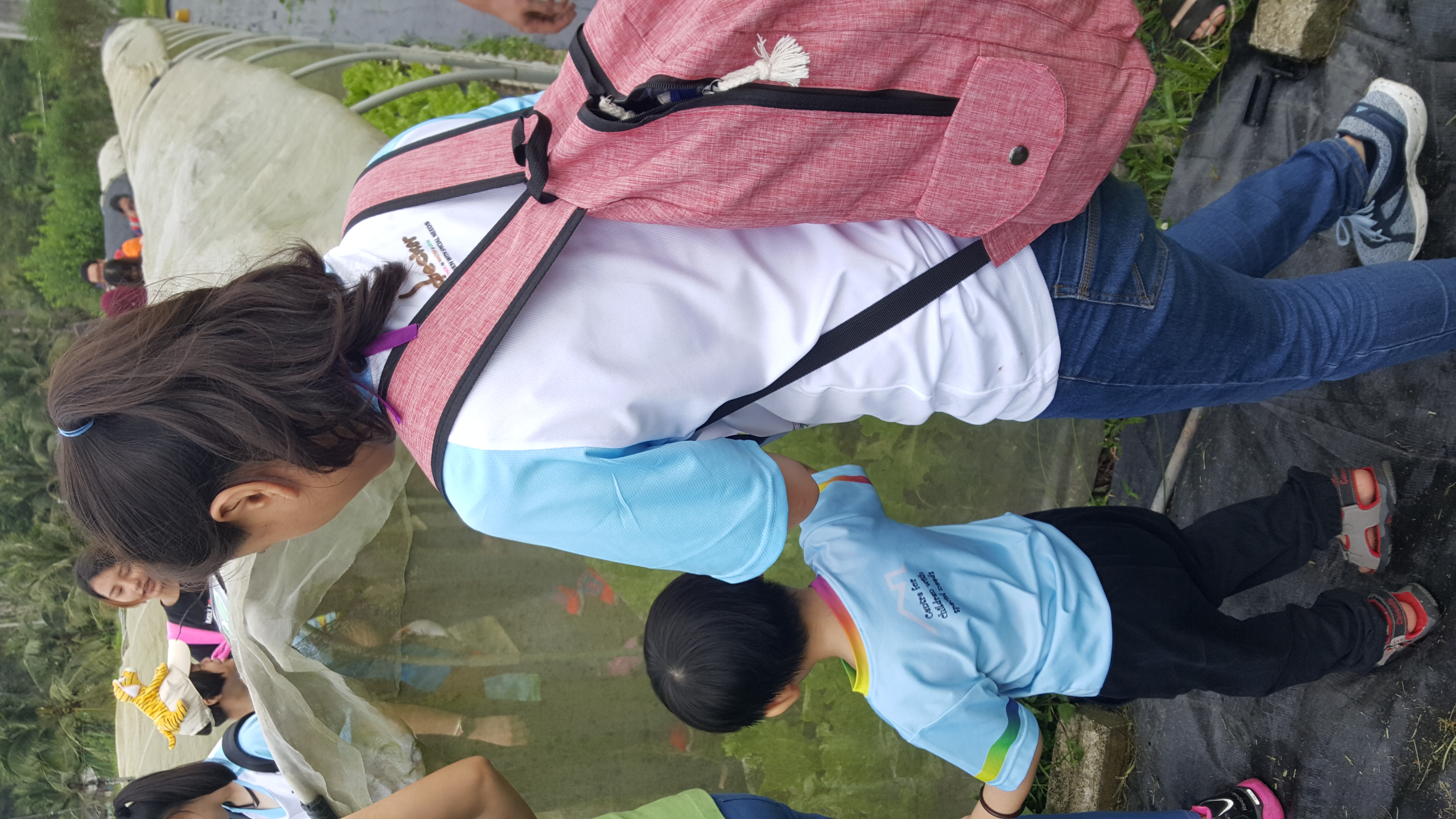 Comfort Organic Farm (7)