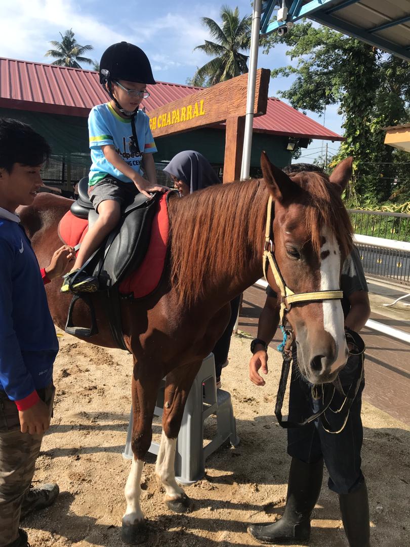 Horse Riding