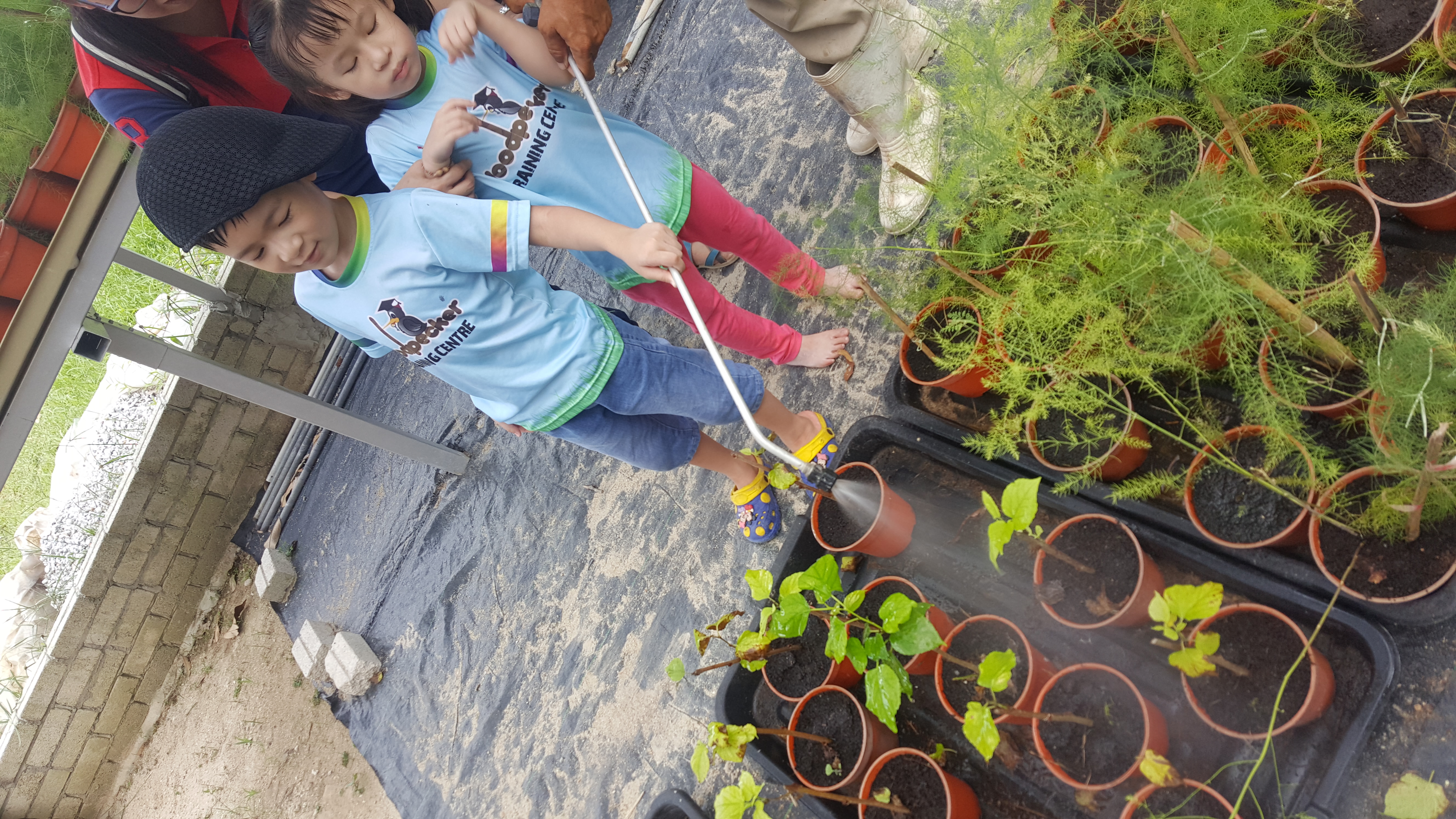 Comfort Organic Farm (14)