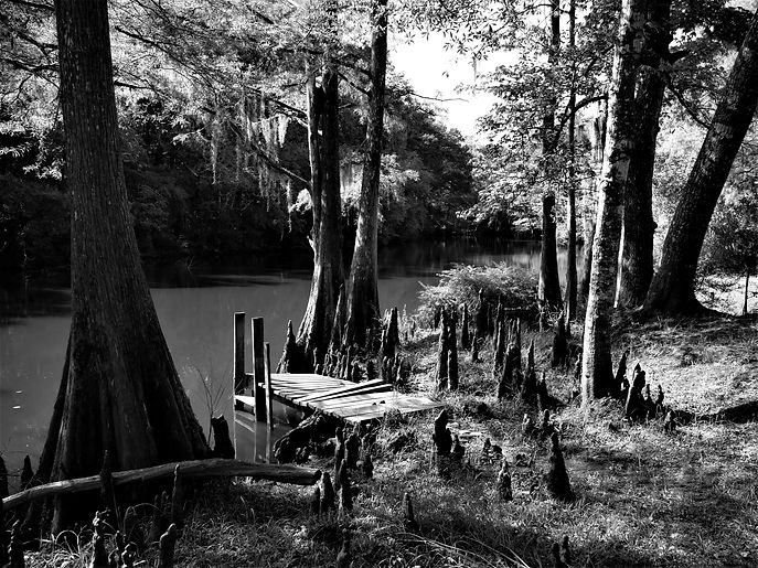 P1180933 BW cl rs.jpg