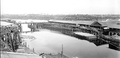 Picture of Bagdad Land & Lumber Company’s enormous shed system – Pictured is the enormous shed system at the Bagdad Land & Lumber Company which was equipped with chutes for loading lumber onto barges. The mill was strategically built at the confluence of Pond Creek and the Blackwater River.