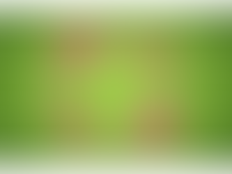  Noch bis zum 05.07.2024