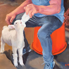 Lamb
