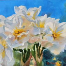 Daffodils