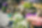 jasmin-schreiber-hpVRzFfL2z8-unsplash.jp