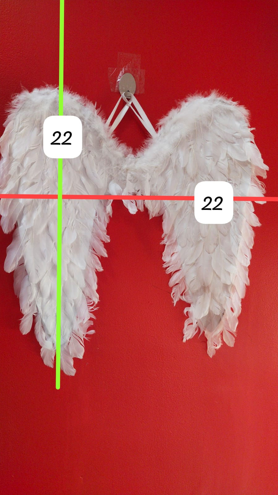Thumbnail: Wings
