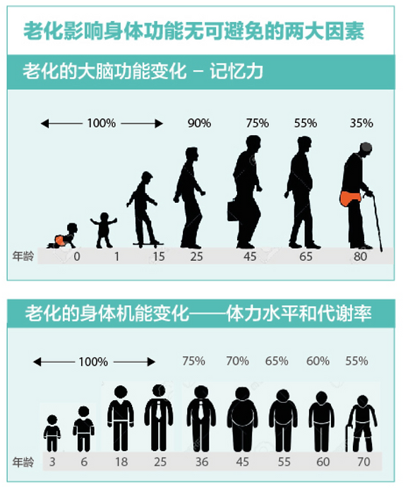 Vitality brain aging chart chinese.PNG
