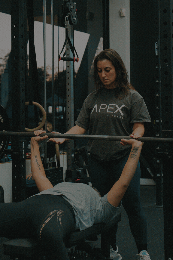 Women doing fitness training