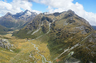NZ Website PIC-081.jpg