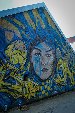 NZ Graffiti Pic-07.jpg