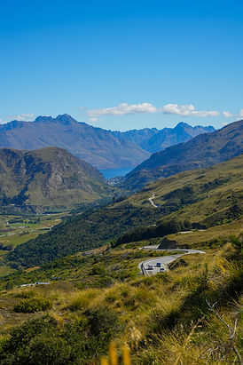 NZ Website PIC-091.jpg