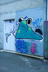 NZ Graffiti Pic-08.jpg
