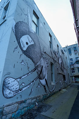 NZ Graffiti Pic-03.jpg