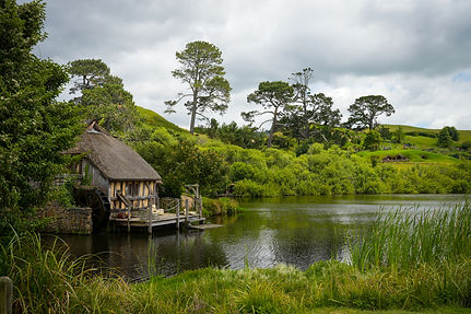 NZ Website PIC-031.jpg