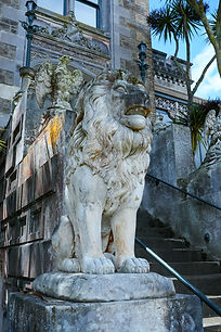 NZ Website PIC-103.jpg