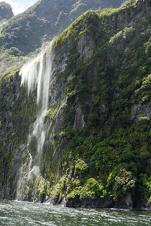 NZ Website PIC-076.jpg