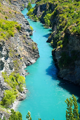 NZ Website PIC-088.jpg