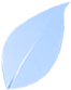 beszallito-graphic-01.png