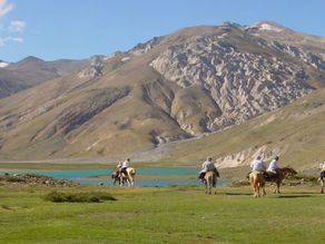 Liberación de compra de tierras: San Rafael tiene más de 120 mil hectáreas en manos de extranjeros
