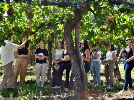 Las representantes vendimiales aprenden sobre vitivinicultura y enología