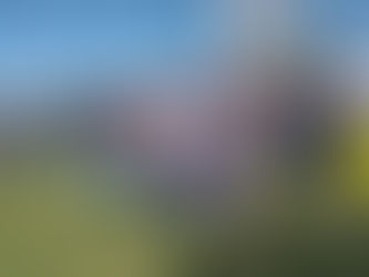 San Rafael se suma a la Semana de Concientización sobre el Síndrome de Down