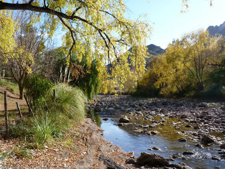 CORTAN LAS EROGACIONES DEL RÍO ATUEL EN MEDIO DE UNA SITUACIÓN DE “BAJAS RESERVAS”